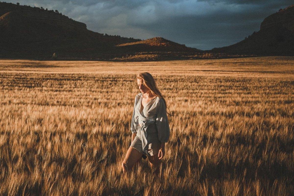 A woman walking away through a golden field in low evening sun, seen from behind