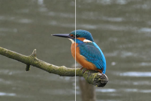 A card split down the middle: a small compressed kingfisher photo on the left, the same bird with crisp feather and bark detail on the right