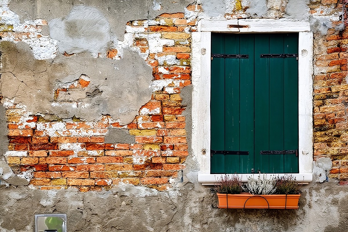 The same wall enlarged, the brickwork, shutter hinges and heather made crisp